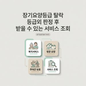장기요양등급 탈락 등급외 판정 후 받을 수 있는 서비스 조회